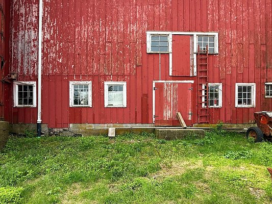 IMG 2392