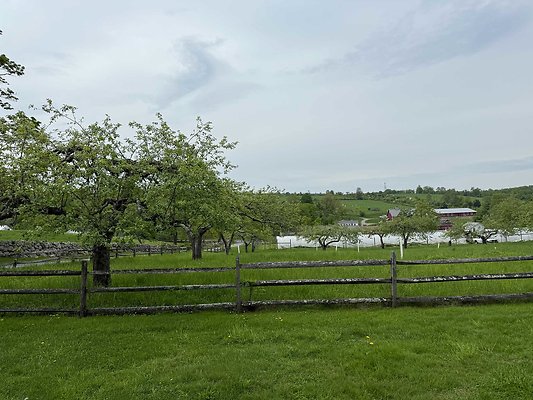 IMG 2265