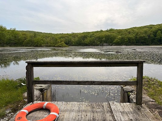 IMG 2354