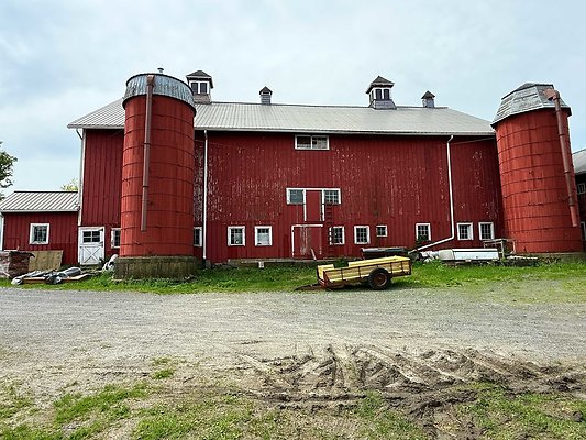IMG 2389