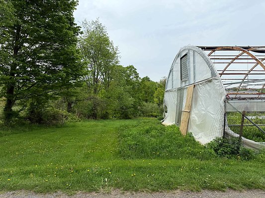 IMG 2344