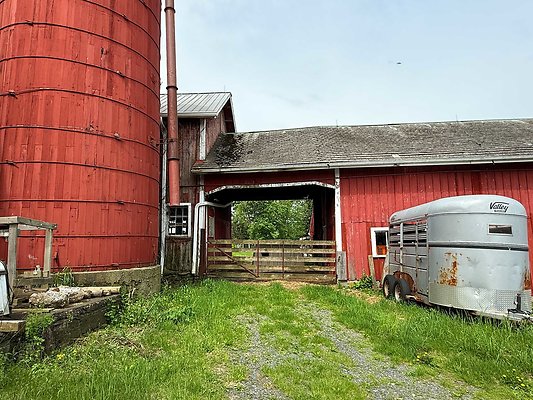 IMG 2391
