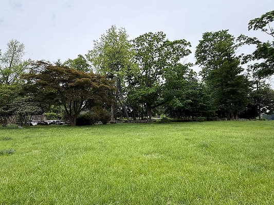 IMG 2073