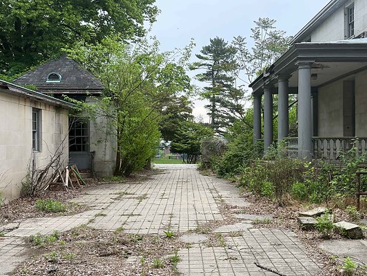 IMG 2009