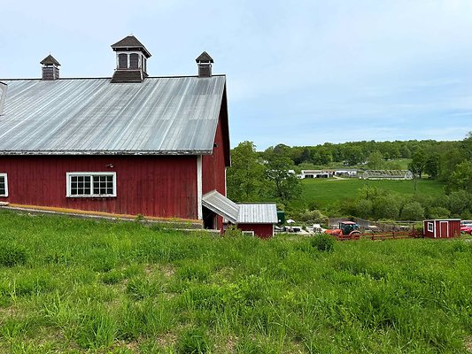 IMG 2399