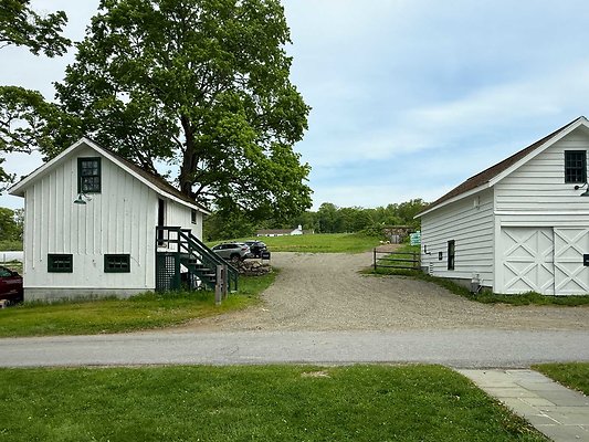 IMG 2306