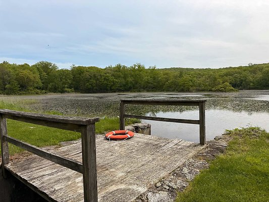 IMG 2353
