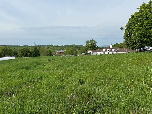 IMG 2083