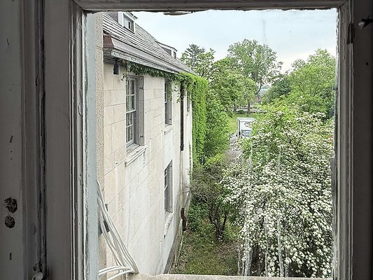 IMG 1934