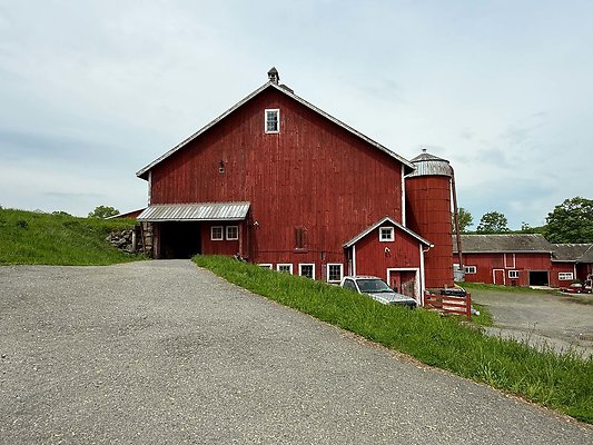 IMG 2394